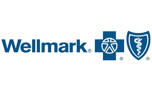 The image features the Wellmark logo with the name "Wellmark" in blue text, followed by a blue cross and shield. The cross has a human figure, and the shield contains a staff with a snake wrapped around it.